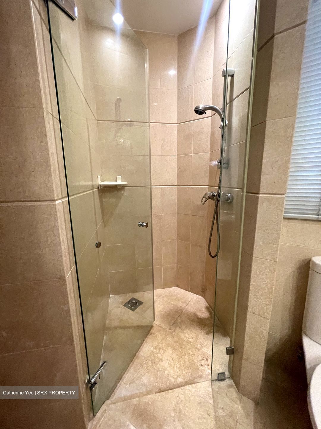 Cuscaden Residences (D10), Condominium #550324471